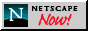 netscape.gif (883 bytes)