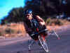 mobilityengineering.jpg (52058 bytes)