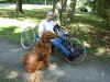 Dog sitting beside me in driveway