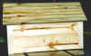 mailboxside.jpg (37332 bytes)